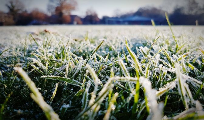 Wettervorhersage: Es wird Frost geben.