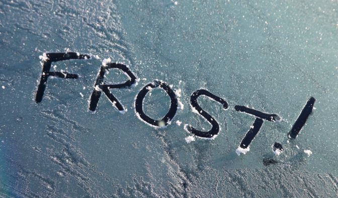 Wettervorhersage: Es wird Frost geben.