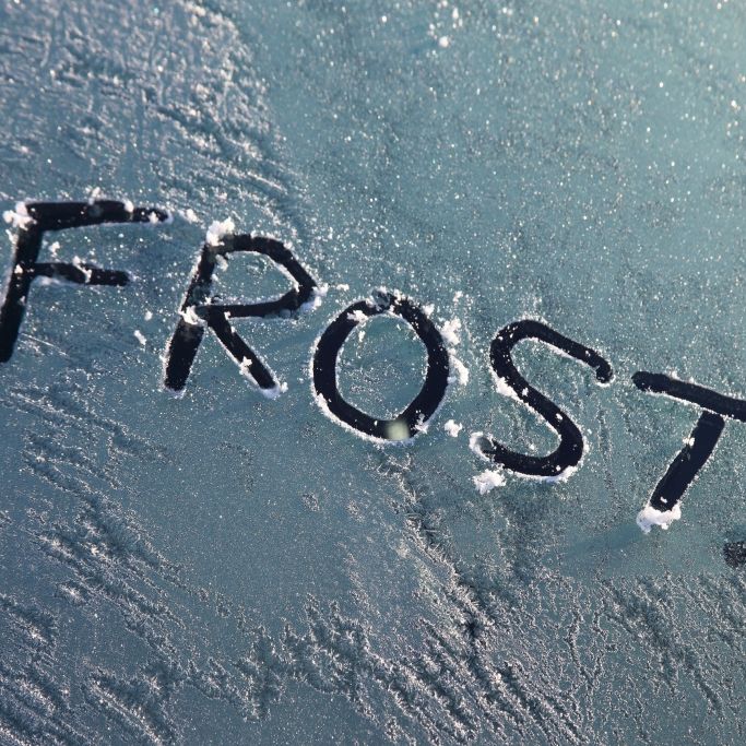 Wegen Frost! Wetterdienst gibt Warnung für Dienstag aus