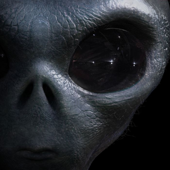 Laut Pentagon: Frau schwanger nach Alien-Begegnung