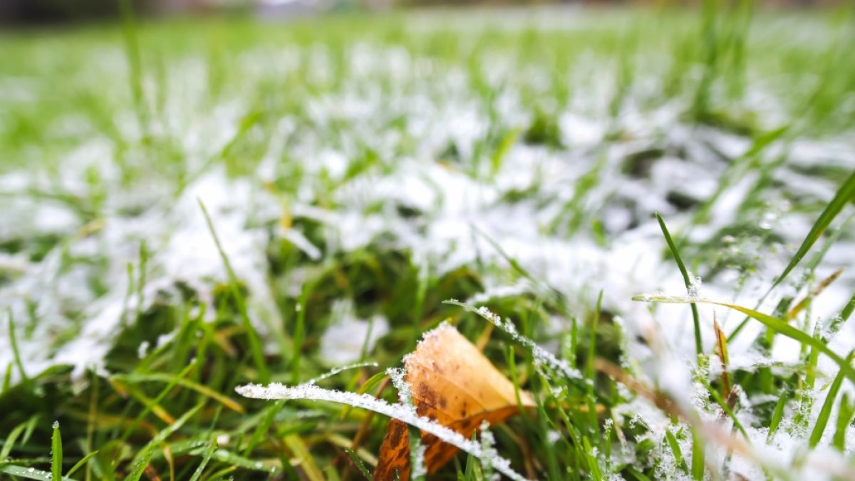 Wettervorhersage: Es muss mit Tauwetter gerechnet werden. (Foto)