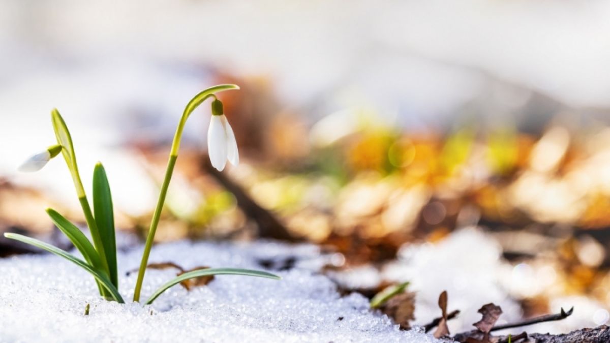 Wettervorhersage: Es muss mit Tauwetter gerechnet werden. (Foto)