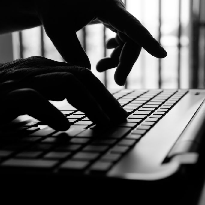 Erfolgreicher Schlag gegen die Online-Betrugsszene: Mit 