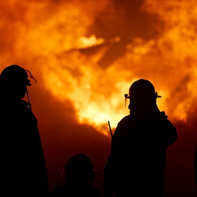 Nächtlicher Einsatz: Mainzer Feuerwehr bei Einsatz in einem Entsorgungsunternehmen gefordert