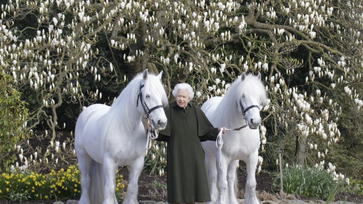 Queen Elizabeth II. feiert heute ihren 96. Geburtstag. (Foto)