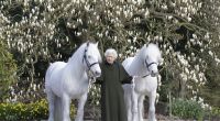 Queen Elizabeth II. feiert heute ihren 96. Geburtstag.