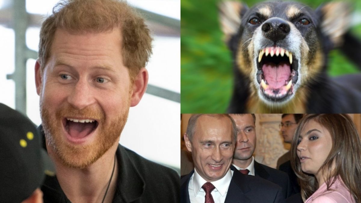 News des Tages aktuell am 23.04.2022 zu Prinz Harry, Hunde-Attacke sowie Wladimir Putin und Alina Kabajewa. (Foto)