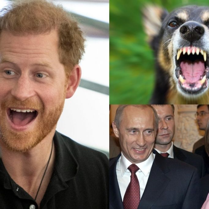 Putin-Liebchen radikal verändert / Royals-Saufgelage nach Trennung / Hund verstümmelt Kleinkind