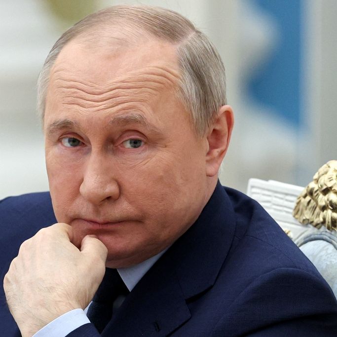 Maus-K.o. für Putin! Nagetier bringt Russen-Hubschrauber zum Absturz