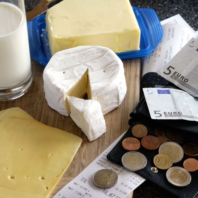 20 Prozent Aufschlag erwartet! Milch und Käse bald unbezahlbar?