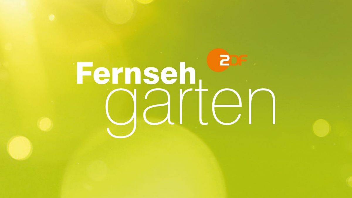 ZDF-Fernsehgarten bei ZDF (Foto)