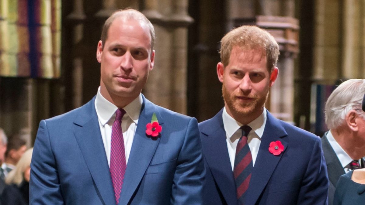 Prinz William traut seinem Bruder nicht mehr. (Foto)