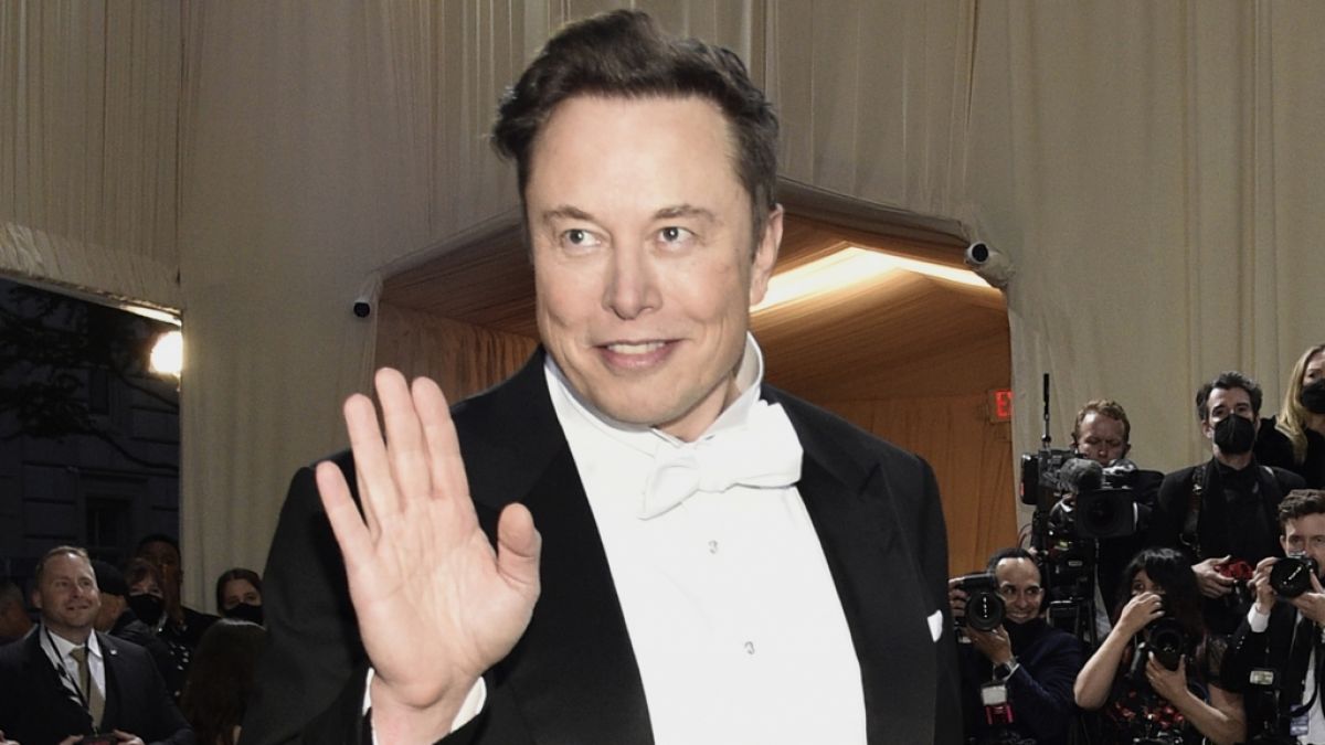 Elon Musk (50) könnte in Gefahr um sein Leben sein. (Foto)