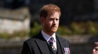 Ein Journalist fordert, dass Queen Elizabeth II. Prinz Harry aus seinem Amt als Staatsrat entfernt.