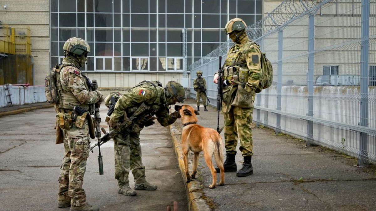 Dass Wladimir Putins Soldaten im Ukraine-Krieg Hunde streicheln, sieht das von ukrainischen Streitkräften sichergestellte Handbuch nicht vor. (Foto)