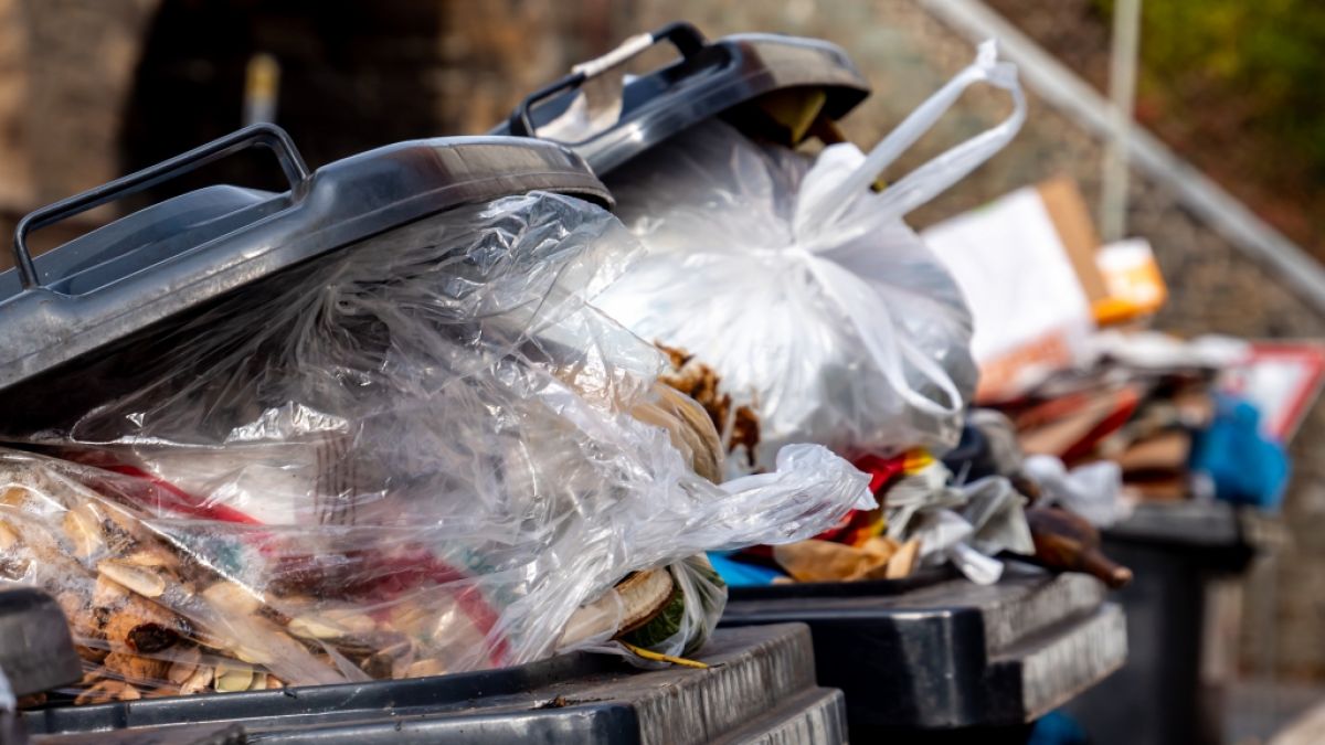 Falsche Mülltrennung kann in Deutschland teuer werden. (Foto)