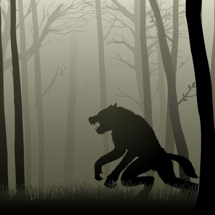 Ist das ein Werwolf? Mysteriöse Kreatur vor Zoo gibt Rätsel auf