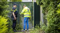 Im Fall eines vermissten Jungen im niederländischen Grenzort Kerkrade hat die Polizei eine Leiche gefunden. Die Ermittler gehen davon aus, dass es sich um den neunjährigen Vermissten handelt, nach dem seit dem Abend des 01.06.2022 gesucht worden war.