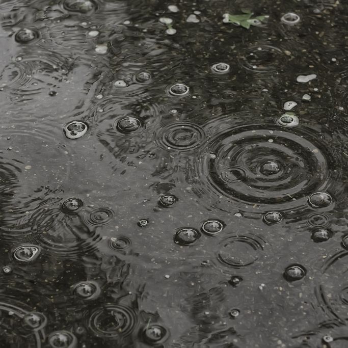Regentage! Ihre Wettervorhersage für Ende März 2023
