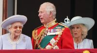 Queen Elizabeth II. lässt sich bei Unpässlichkeiten immer häufiger von ihrem Thronerben Prinz Charles vertreten.