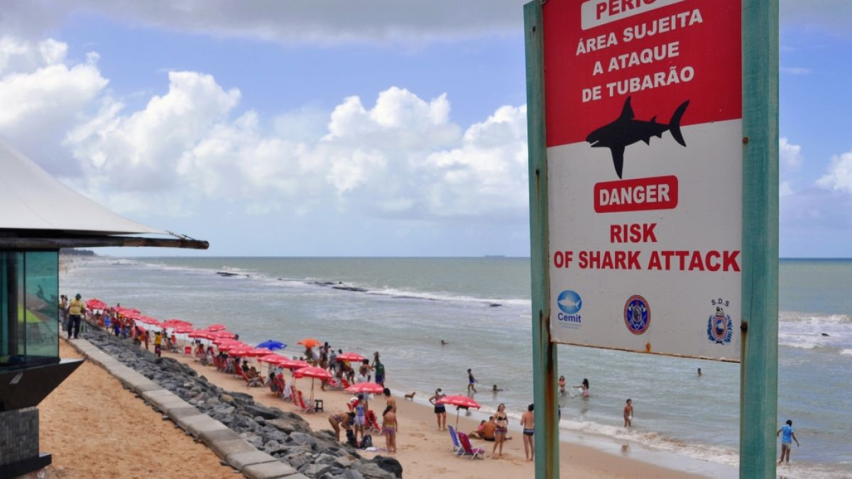 Die Strände in Recife an der Ostküste Brasiliens sind berühmt-berüchtigt für Hai-Angriffe. (Foto)