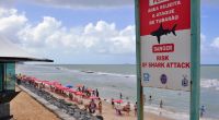 Die Strände in Recife an der Ostküste Brasiliens sind berühmt-berüchtigt für Hai-Angriffe.
