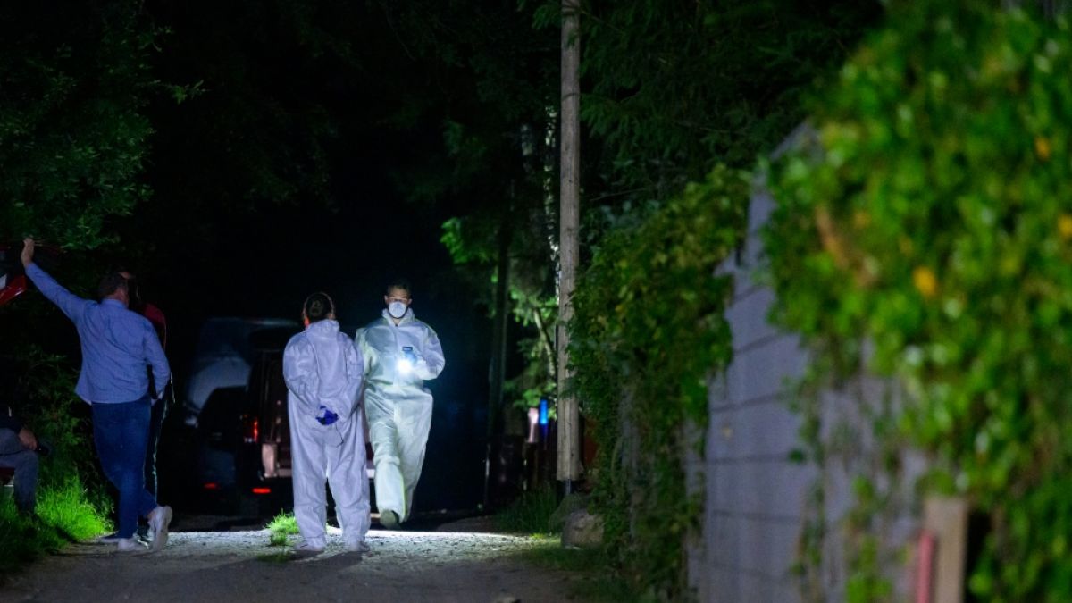 Ermittler der Polizei arbeiten am Tatort. Auf benachbarten Wohngrundstücken bei Bienenbüttel sind drei Tote gefunden worden. (Foto)