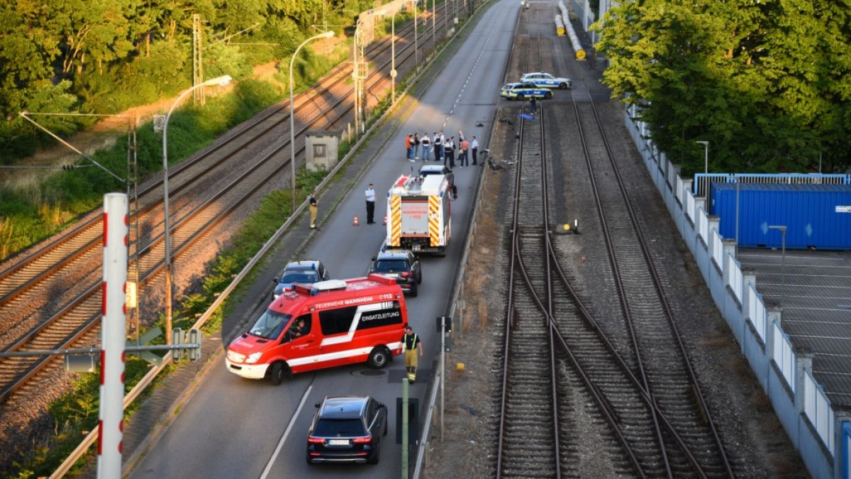 Auf der Flucht vor der Polizei ist ein 36-Jähriger in Mannheim in eine Radlergruppe gerast, wobei eine 71-Jährige starb. Zuvor soll der Mann seinen Vater getötet haben. (Foto)