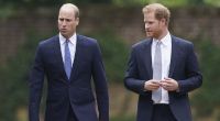 Sieht so innige Bruderliebe aus? Bei Prinz William und Prinz Harry herrscht seit geraumer Zeit Anspannung und Entfremdung.