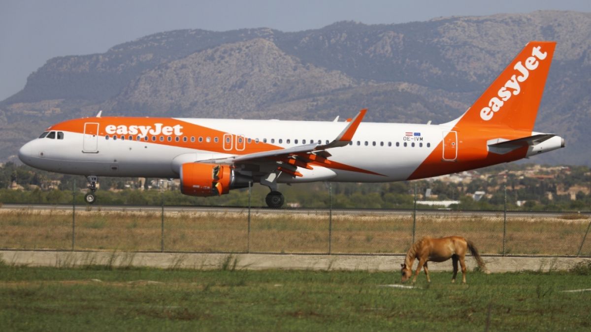 #Streiks im Rahmen Easyjet, Ryanair und Lauda: Unbedingt in den Sommerferien! Flugreise-Durcheinander aufwärts Mallorca droht
