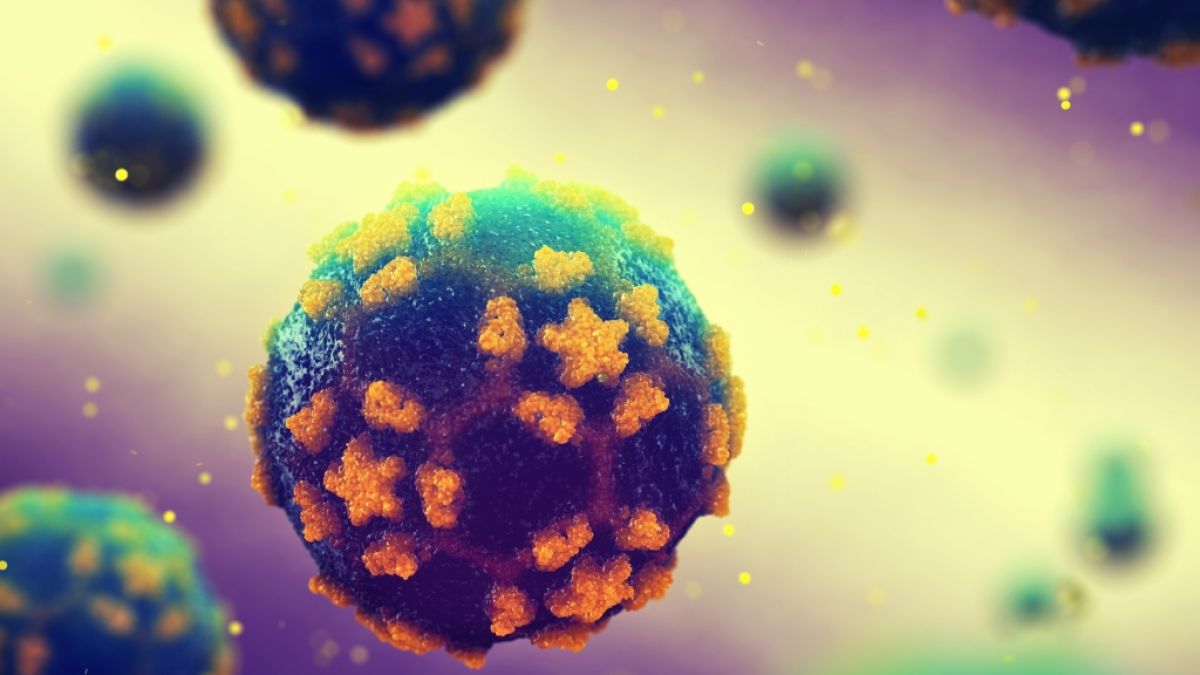 Virus della poliomielite a Londra: scoperto un patogeno!  Il virus si sta diffondendo adesso?