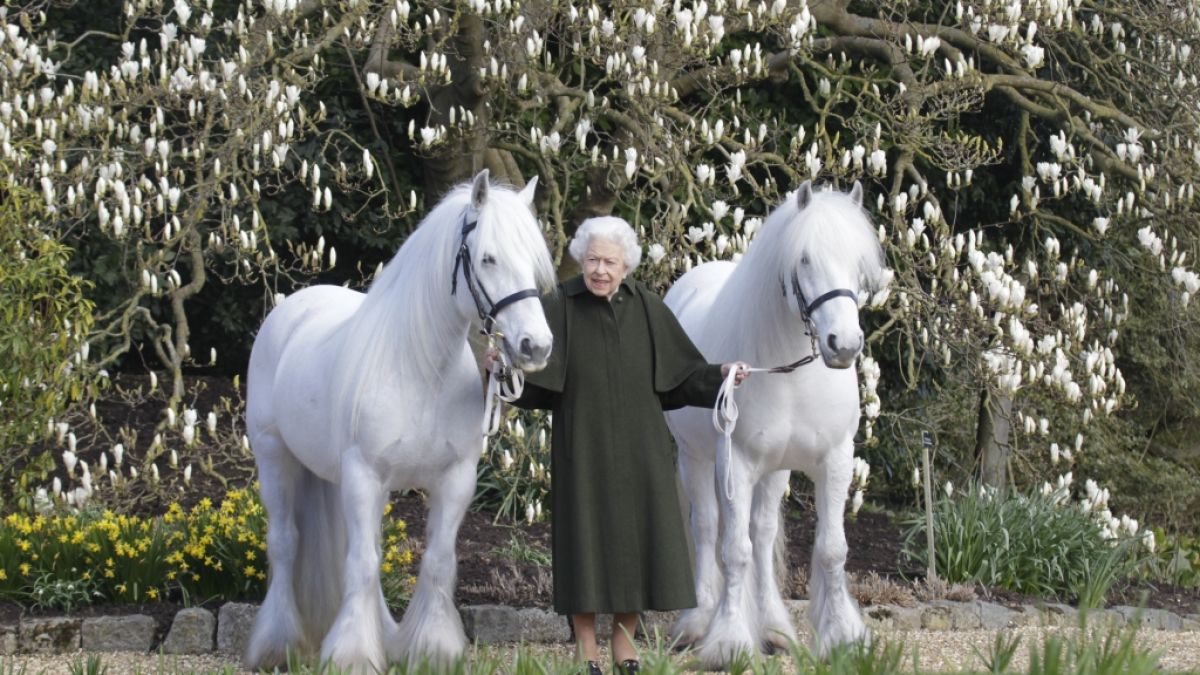 Queen Elizabeth II. verzichtet auf den Gehstock und schwingt sich aufs Pferd. (Foto)