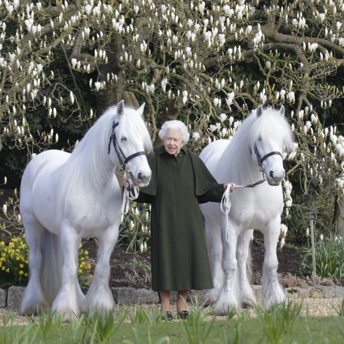 Ohne Gehstock! Die Königin schwingt sich mit 96 Jahren aufs Pferd