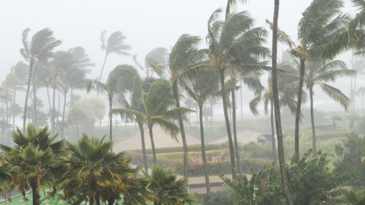 Lagebericht zum aktuellen Tropischen Zyklon. (Symbolbild) (Foto)