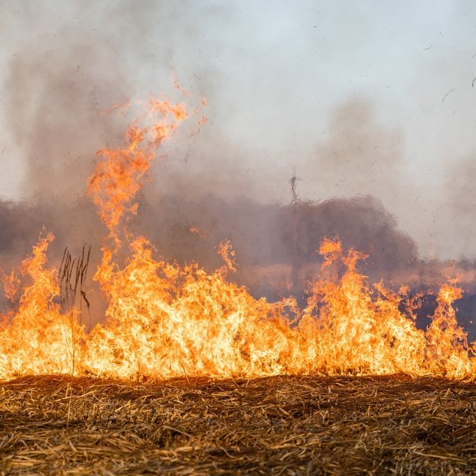 Lagebericht zu den aktuellen Vegetationsbränden. (Symbolbild)