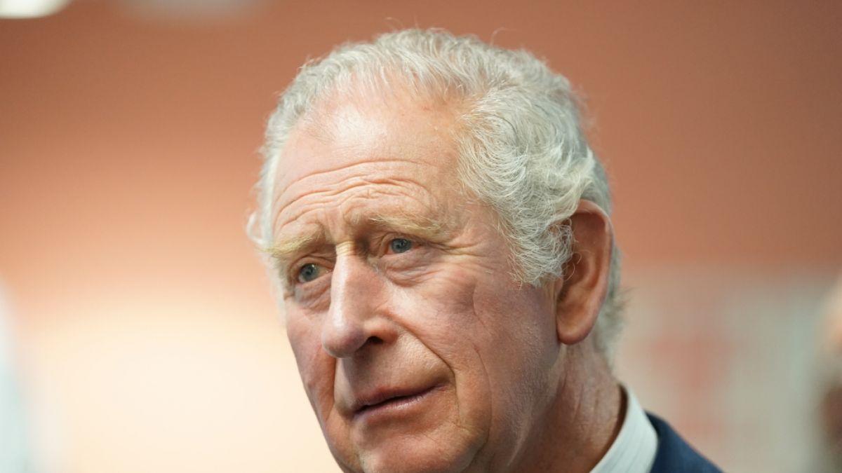 Prinz Charles könnte als König das Erbe von Queen Elizabeth II. zerstören. (Foto)