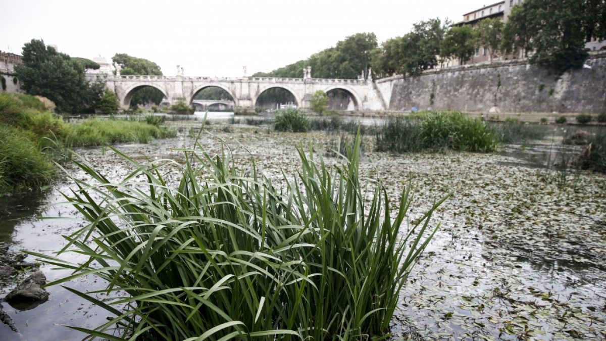 Die Dürre in Italien wird immer dramatischer. (Foto)