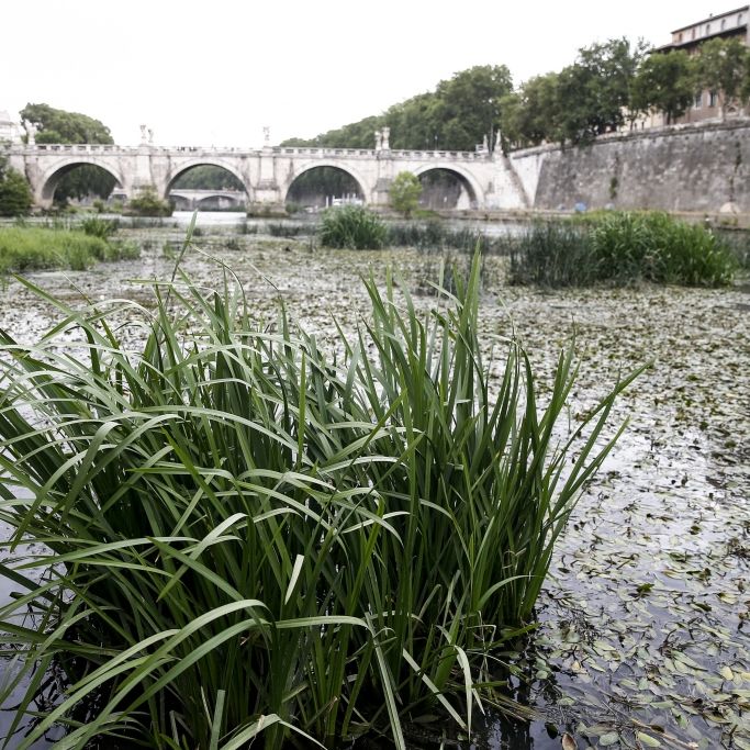 Notstand droht! Verona und Pisa rationieren Trinkwasser
