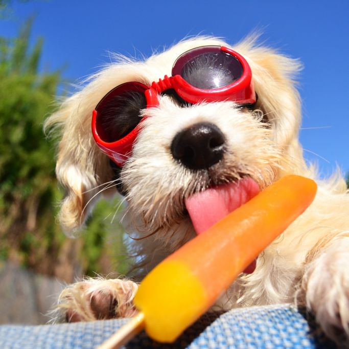 Temperatur-Klatsche durch Polarluft! Kündigen Hundstage nächste Hitzewelle an?