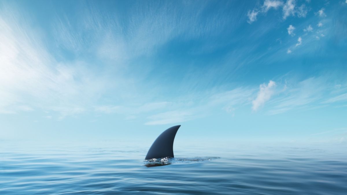 An der Küste von Marmaris wurde angeblich ein Hai gesichtet. (Foto)