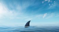 An der Küste von Marmaris wurde angeblich ein Hai gesichtet.