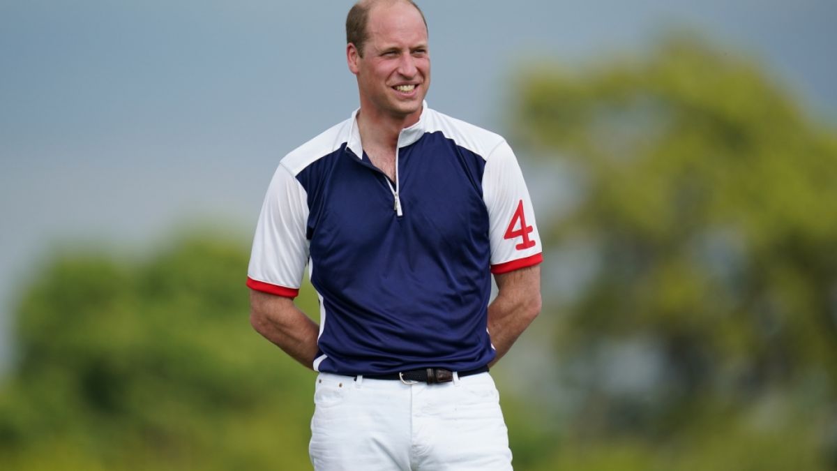 Prinz Williams Charity-Event lässt Prinz Harry blass aussehen. (Foto)
