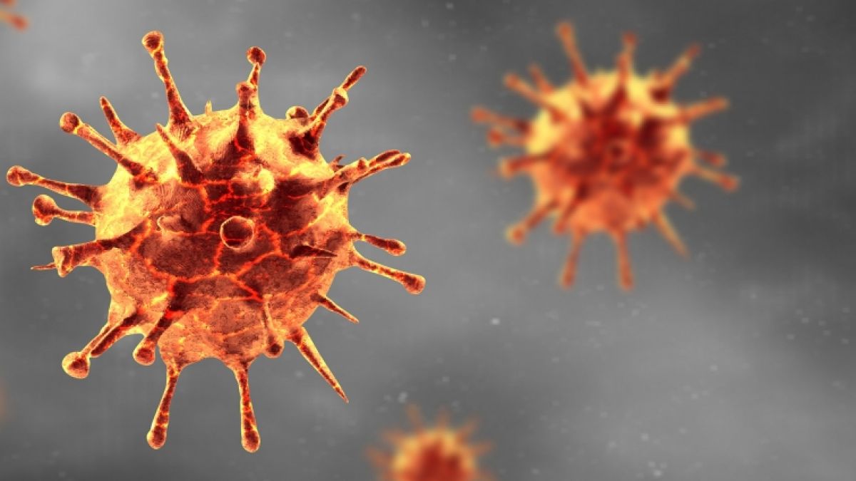 Wie wahrscheinlich ist eine Reinfektion mit dem Coronavirus? (Foto)
