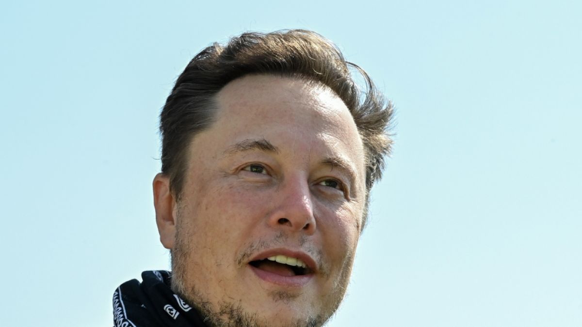 Elon Musk soll Vater von Zwillingen geworden sein. (Foto)