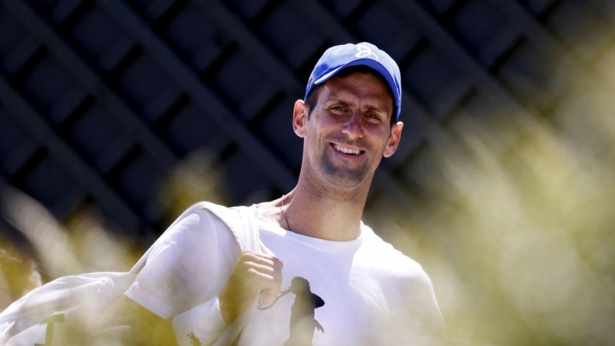 Novak Djokovic holte sich seinen 7. Wimbledon-Sieg. (Foto)