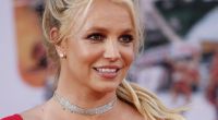 Britney Spears entblättert sich im Netz einmal mehr.