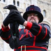 Es ist ein Aberglaube, der sich in Großbritannien seit Jahrhunderten hält: Wenn die Raben aus dem Londoner Tower verschwinden, ist die Monarchie dem Untergang geweiht.