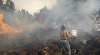 Waldbrände, extreme Hitze und Trockenheit halten Südeuropa in Schach.