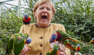 Angela Merkel wird 2021 im Vogelpark Malchow von australischen Loris gebissen.