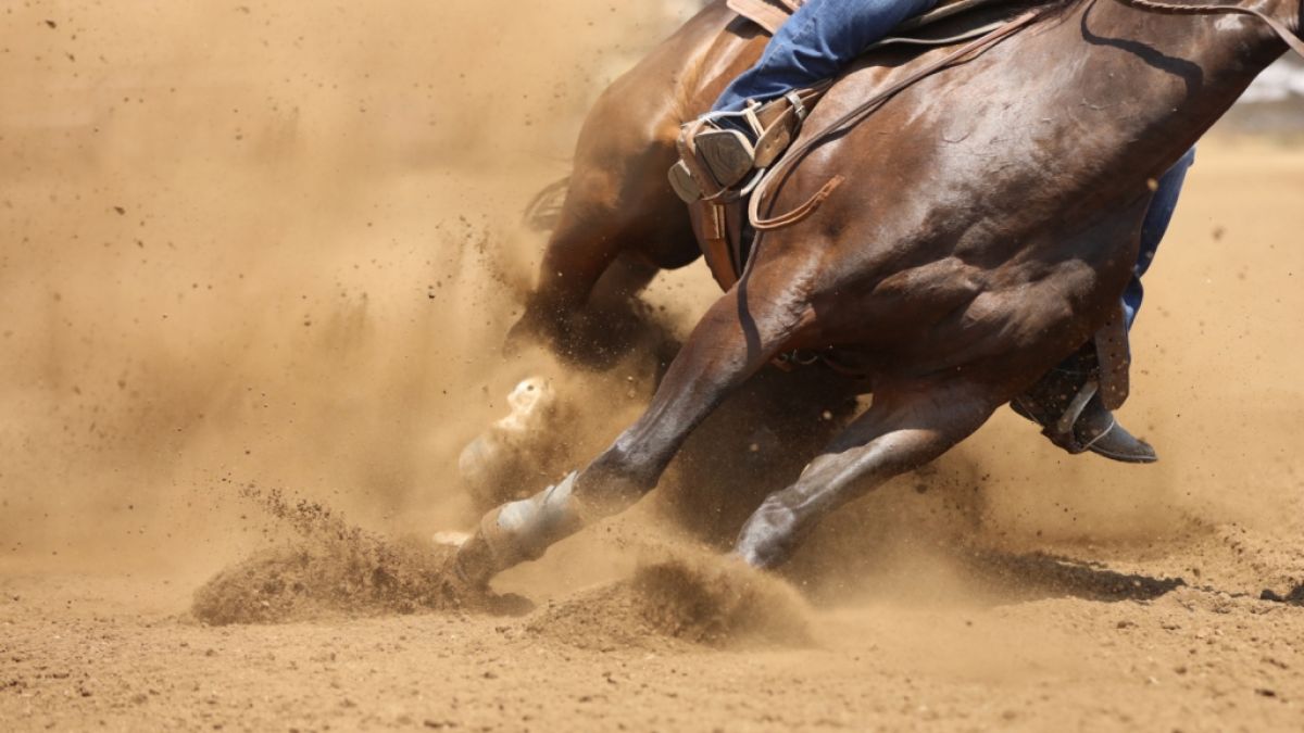 Bei einer Pferde-Show im US-Bundesstaat Georgia ist eine 20-jährige Frau tödlich verletzt worden (Symbolfoto). (Foto)